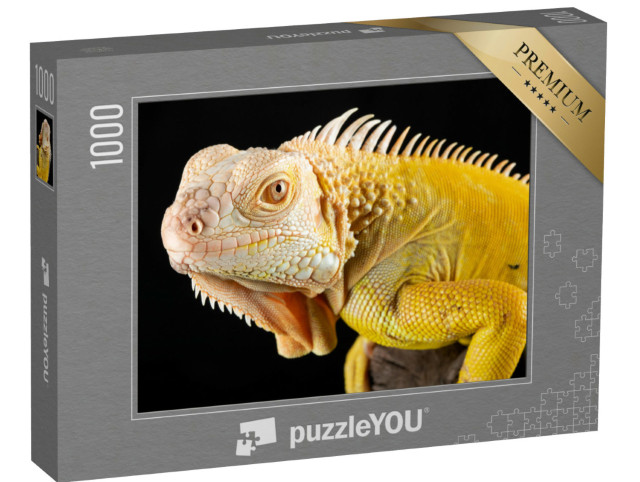 Puzzel 1000 stukjes „Close-up van een gele albino leguaan“