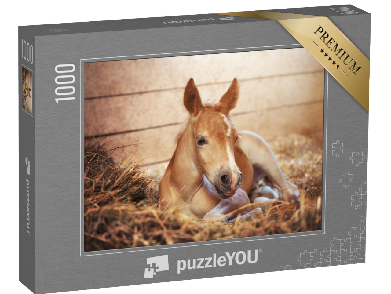 Puzzel 1000 stukjes „Een Haflinger veulen op stal“