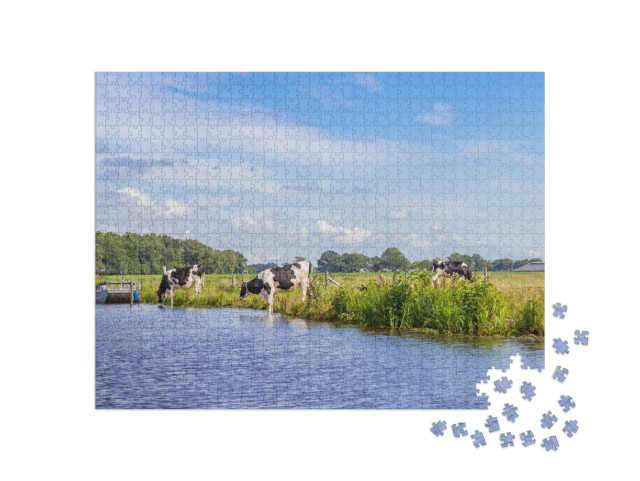 Puzzel 1000 stukjes „Panorama van koeien op de Vecht bij Hardenberg, Nederland“