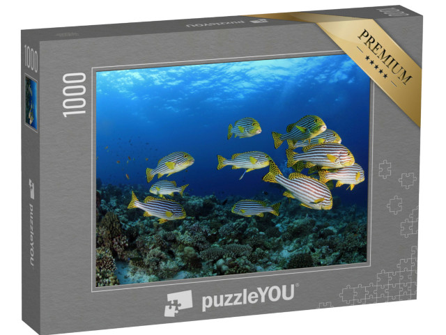 Puzzel 1000 stukjes „Oosterse schatjes in de tropische wateren van de Malediven“