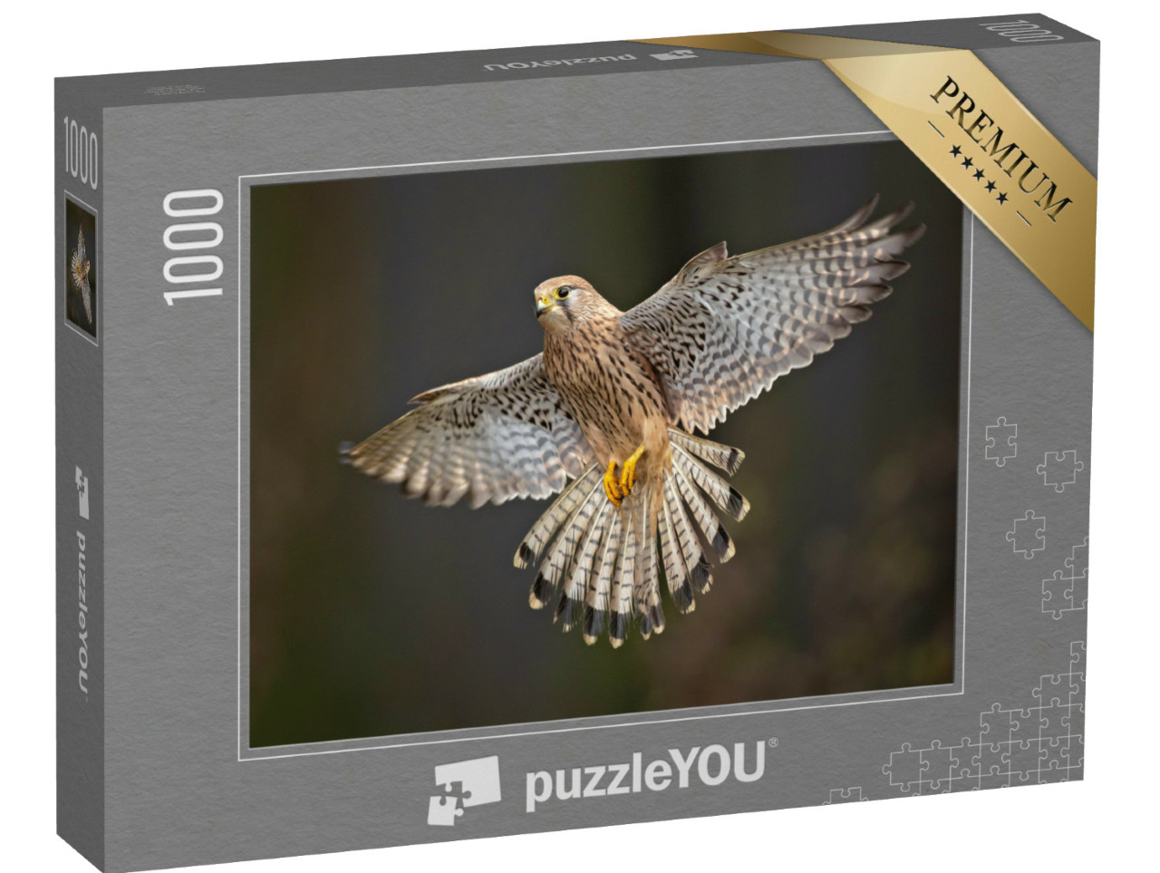 Puzzel 1000 stukjes „Gedetailleerde studie van een torenvalk tijdens de vlucht“