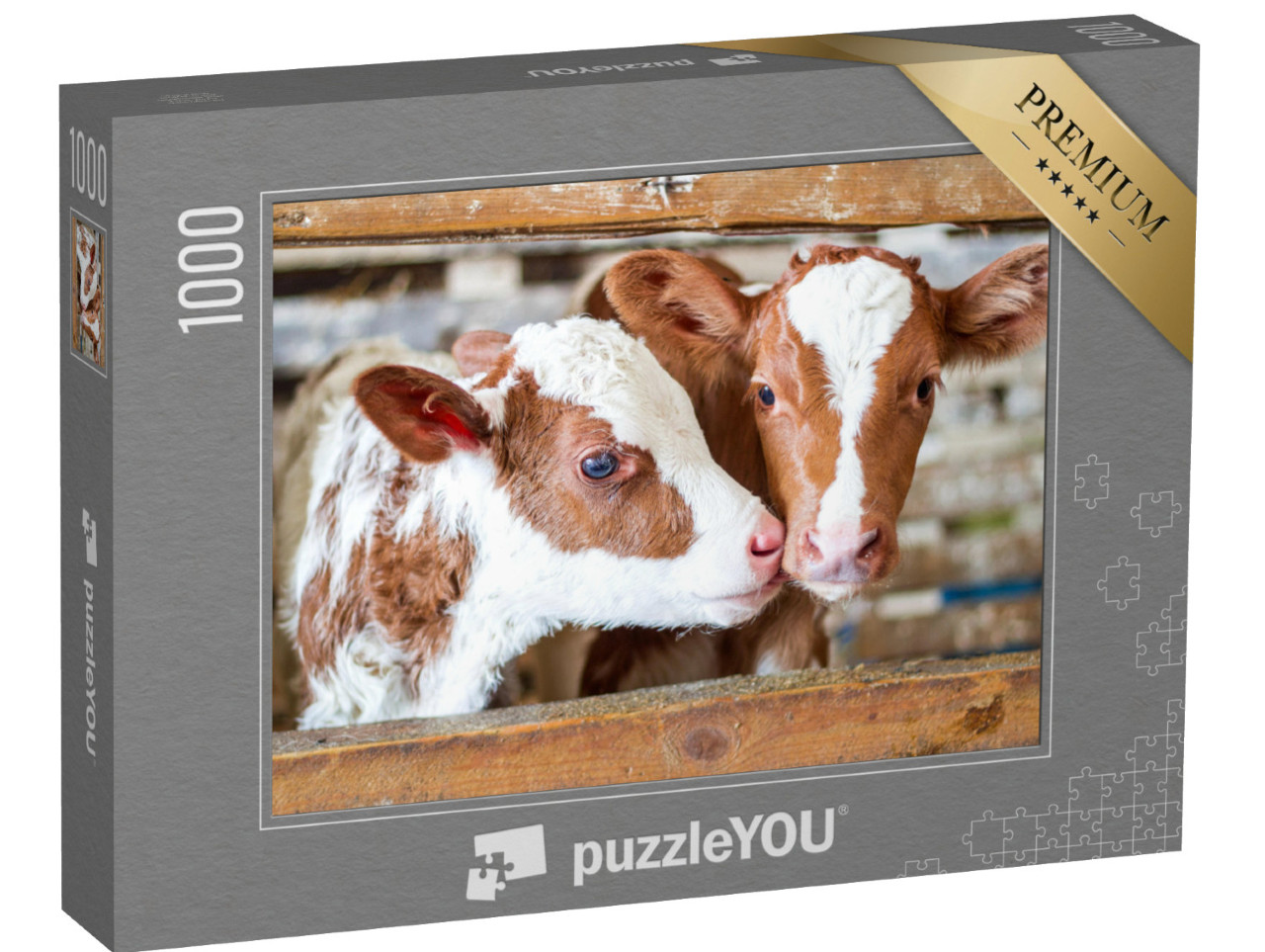 Puzzel 1000 stukjes „Twee koeienkalveren in een stal op het platteland“