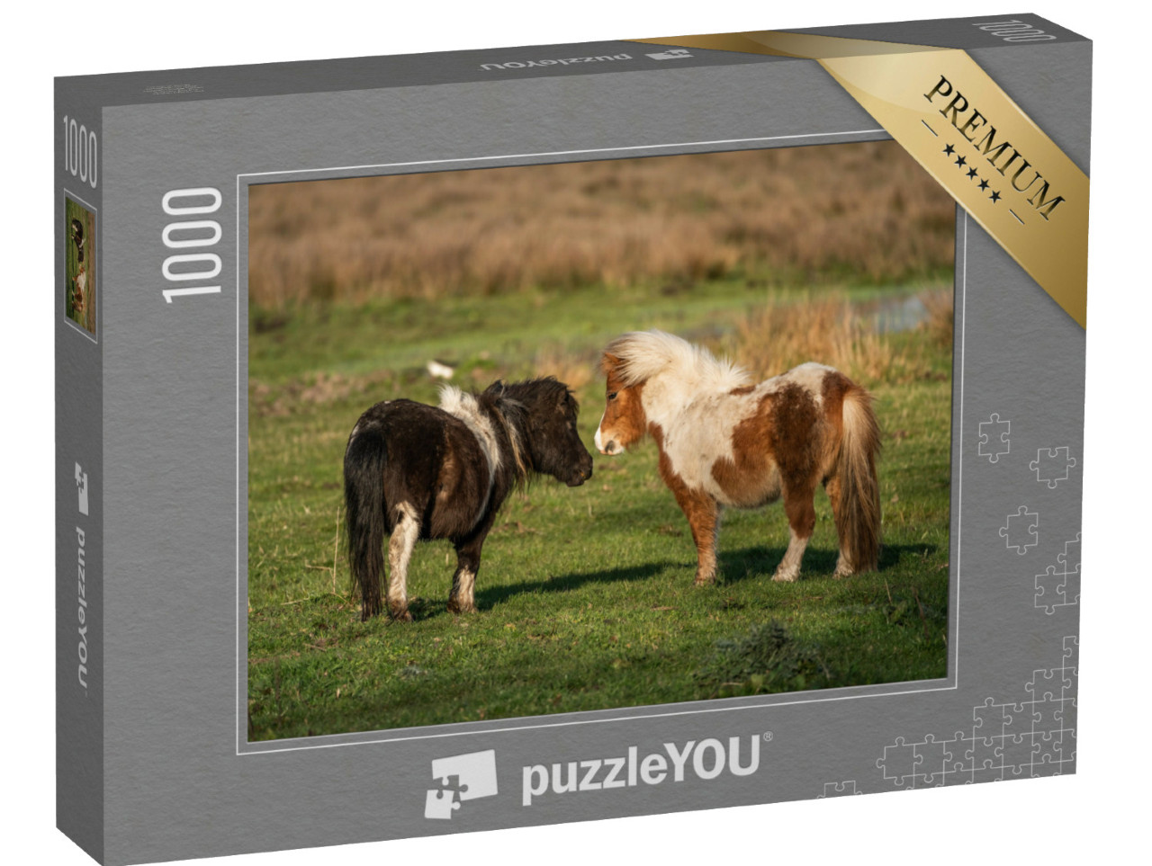 Puzzel 1000 stukjes „Shetlandpony's op de weiden van Limburg, Nederland“