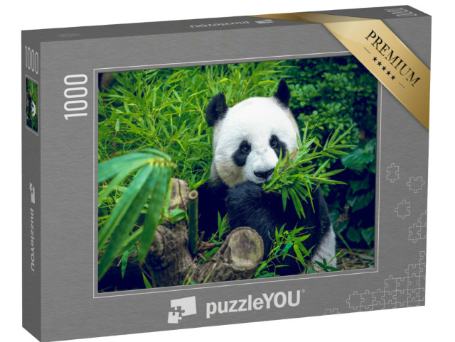 Puzzel 1000 stukjes „Hongerige reuzenpanda eet zijn bamboemaaltijd“