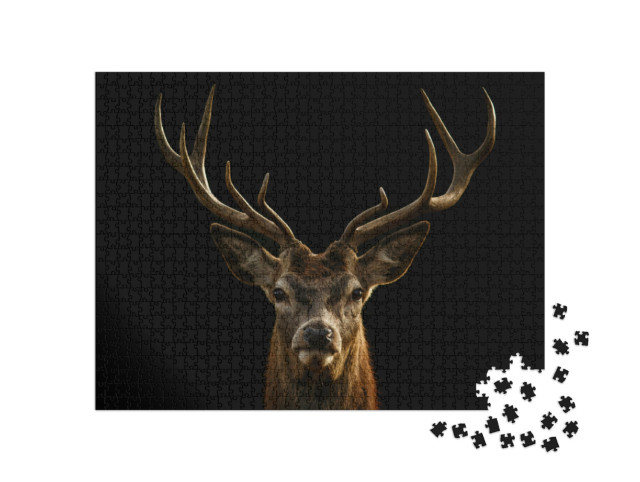 Puzzel 1000 stukjes „Portret: majestueus edelhert met groot gewei“
