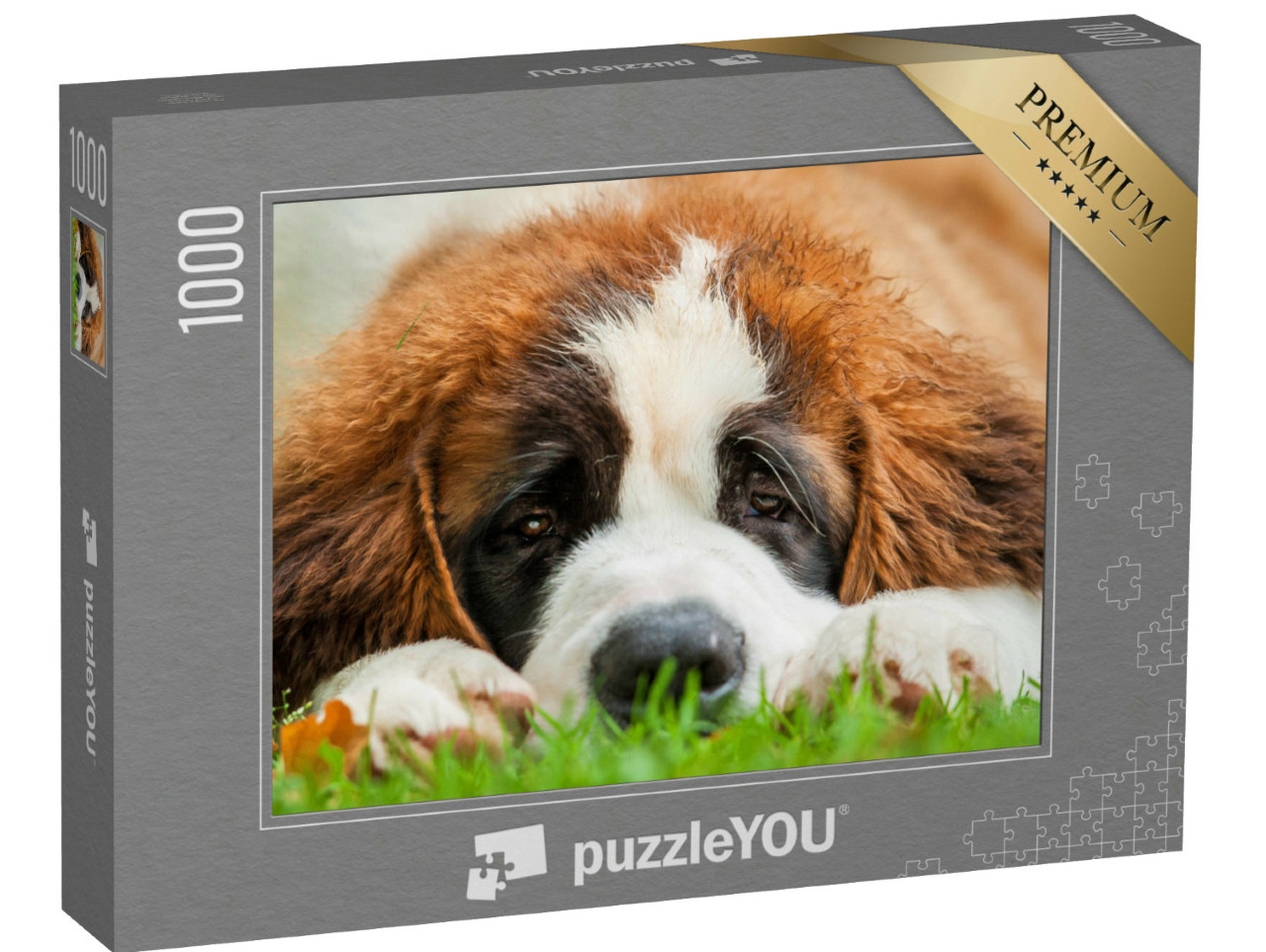 Puzzel 1000 stukjes „Portret van een sint-bernard puppy in het gras“