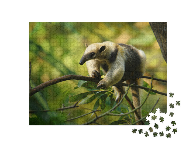 Puzzel 1000 stukjes „Noordelijke tamandua, miereneter uit Mexico“