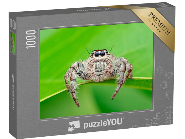 Puzzel 1000 stukjes „Hyllus - de webspin, ook wel reuzenspin of springspin genoemd“