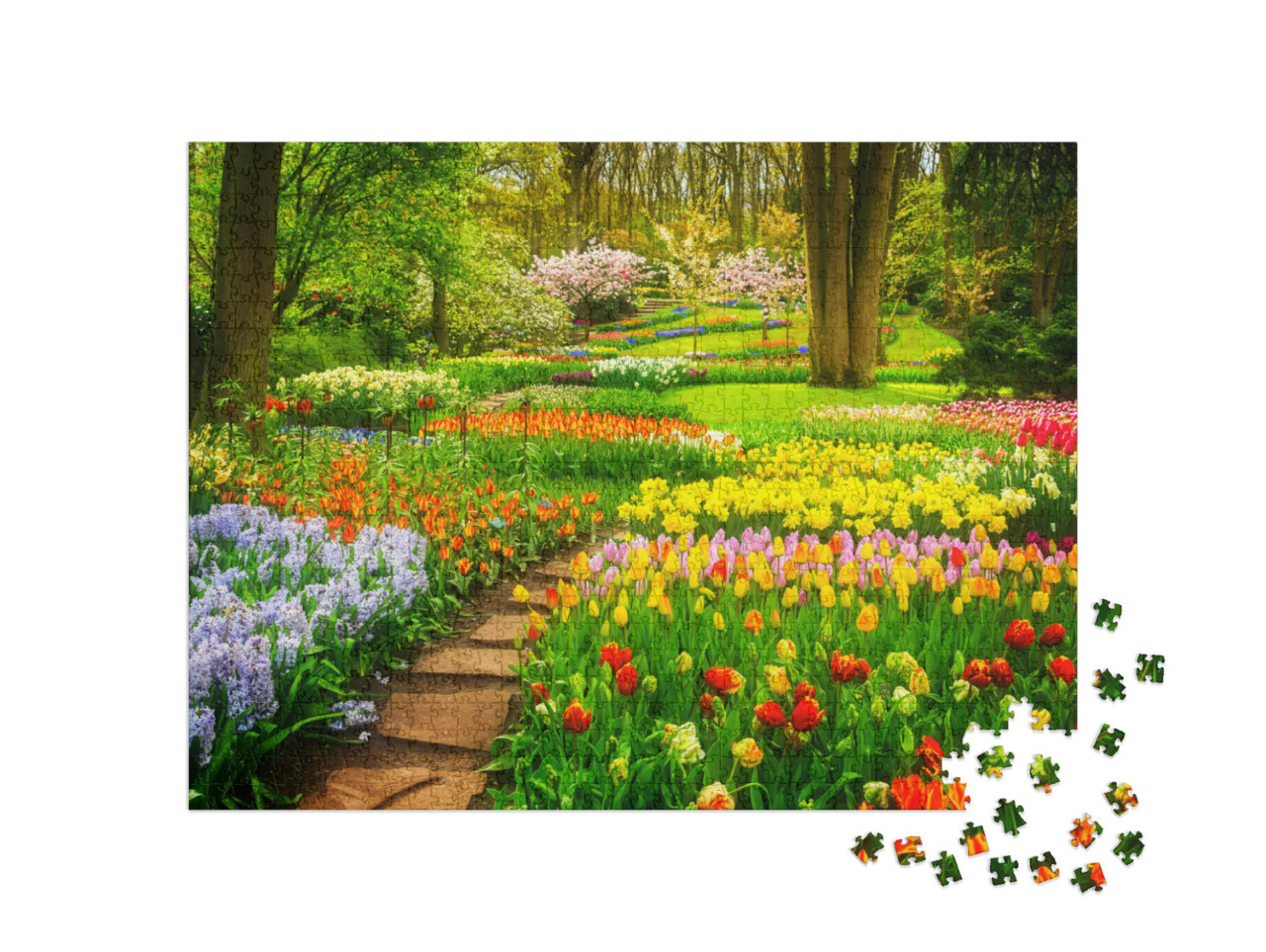 Puzzel 1000 stukjes „Kleurrijke tulpenperken in het park“