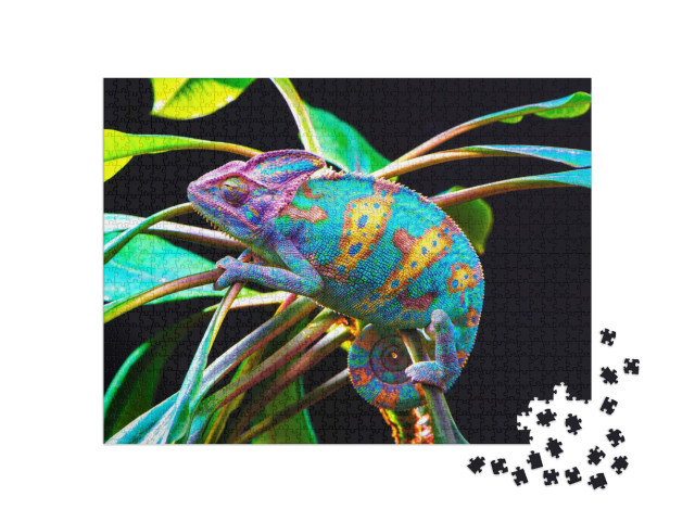 Puzzel 1000 stukjes „Kameleon“