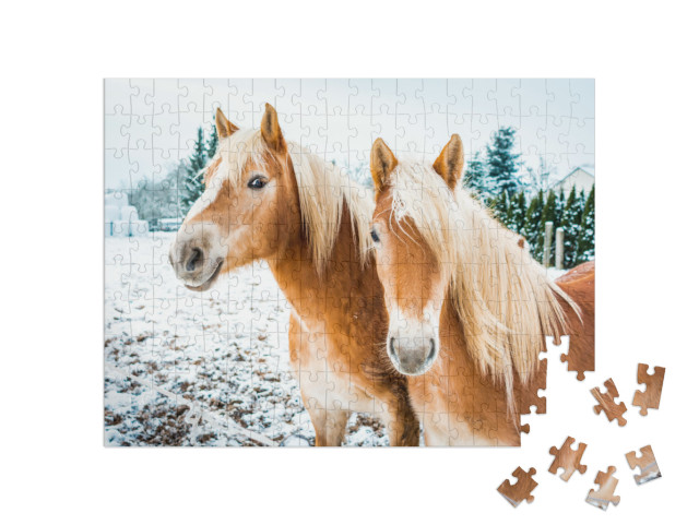 Puzzel 200 stukjes „Haflinger paarden op een besneeuwde weide“