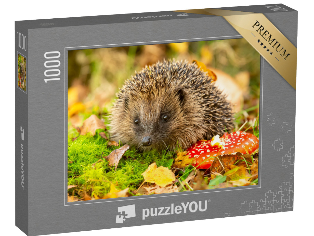 Puzzel 1000 stukjes „Egel en paddenstoel“