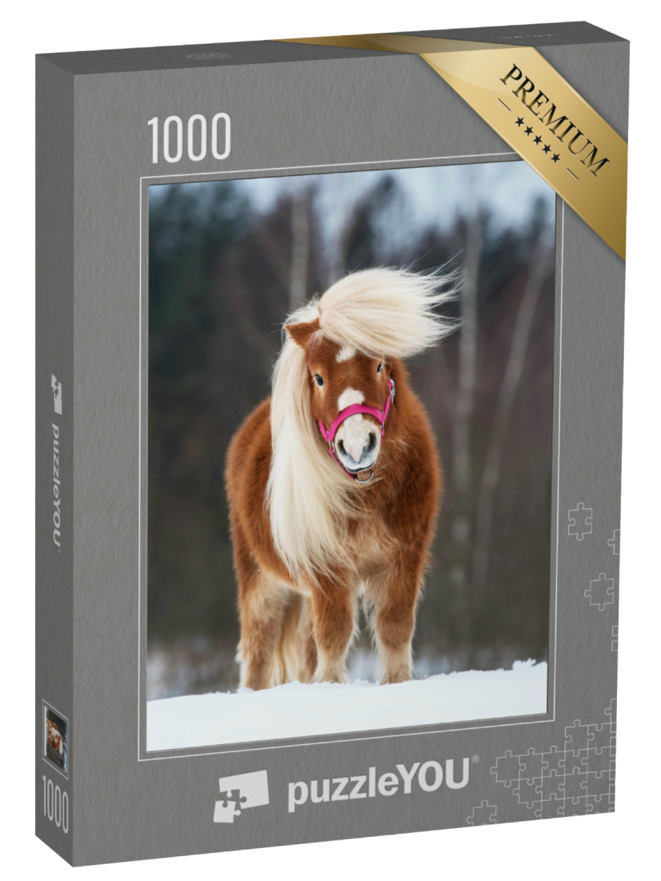 Puzzel 1000 stukjes „Mini Shetland pony hengst met prachtige manen“