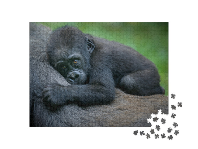 Puzzel 1000 stukjes „Een babygorilla“