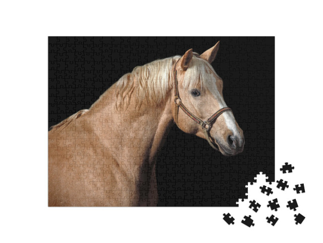 Puzzel 500 stukjes „Palomino paard“