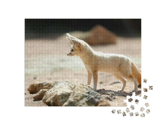 Puzzel 1000 stukjes „De fennec vos, ook wel bekend als de woestijnvos“
