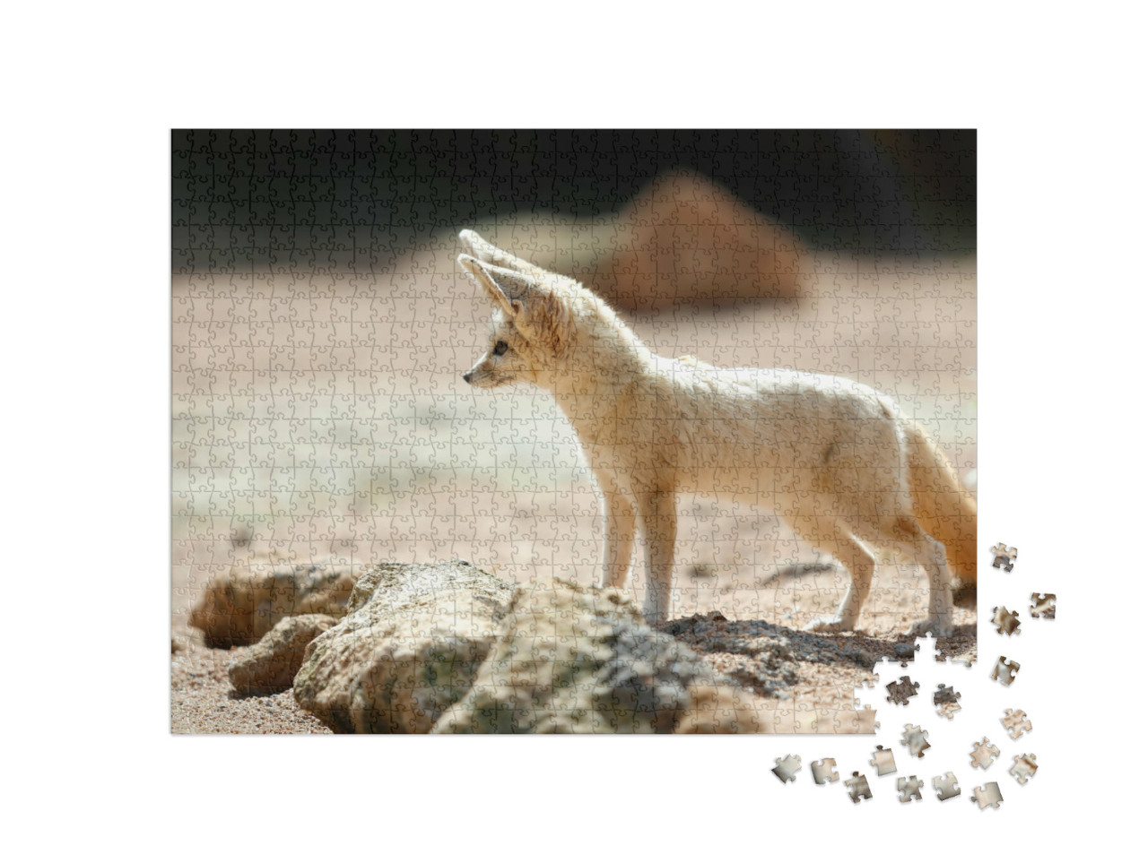 Puzzel 1000 stukjes „De fennec vos, ook wel bekend als de woestijnvos“