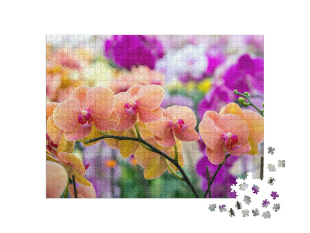 Puzzel 1000 stukjes „Schoonheid van de natuur: orchideeën“