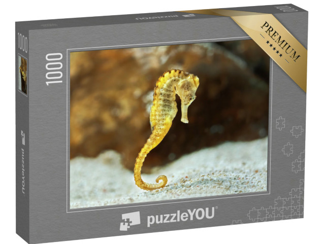 Puzzel 1000 stukjes „Zeepaardjes op de bodem van de zee“
