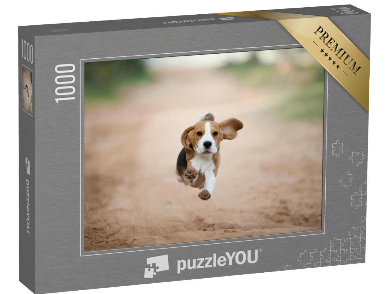 Puzzel 1000 stukjes „Een beagle puppy in de achtertuin“