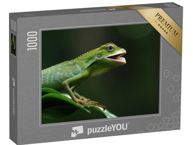 Puzzel 1000 stukjes „Smaragdhagedis zonnebadend op een tak, Jubata hagedis“