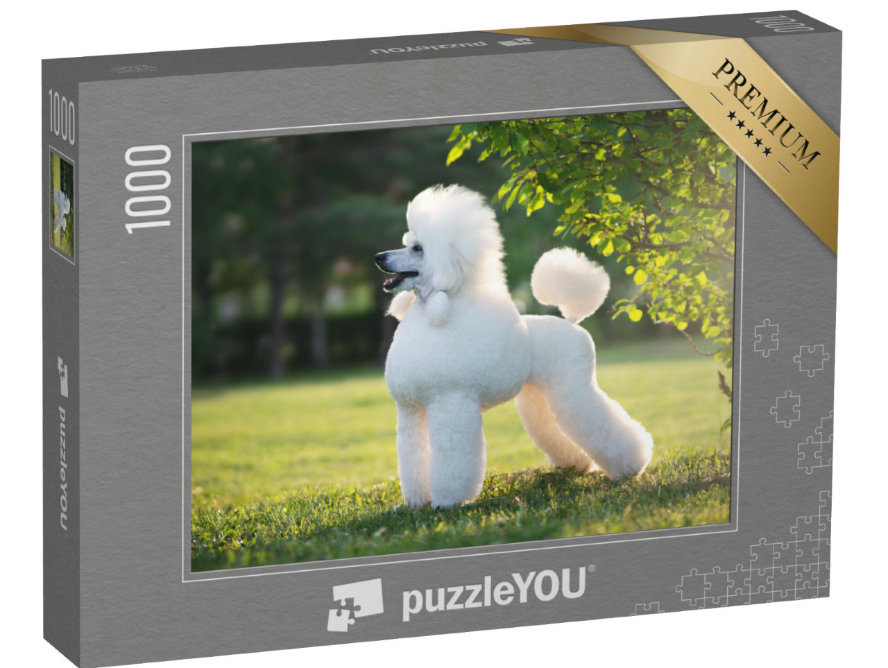 Puzzel 1000 stukjes „Portret van de witte koningspoedel“