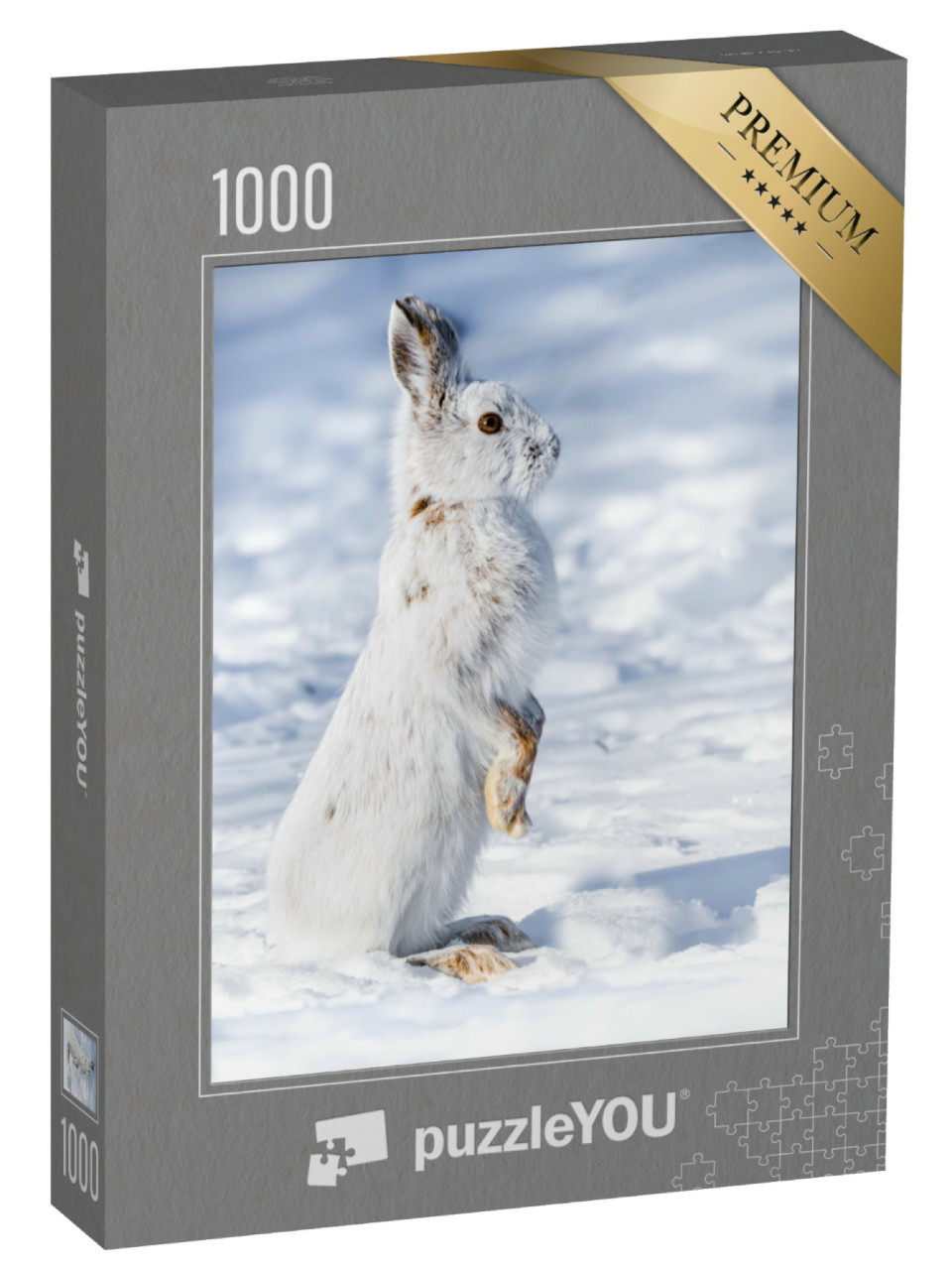 Puzzel 1000 stukjes „Een sneeuwhaas in de sneeuw“