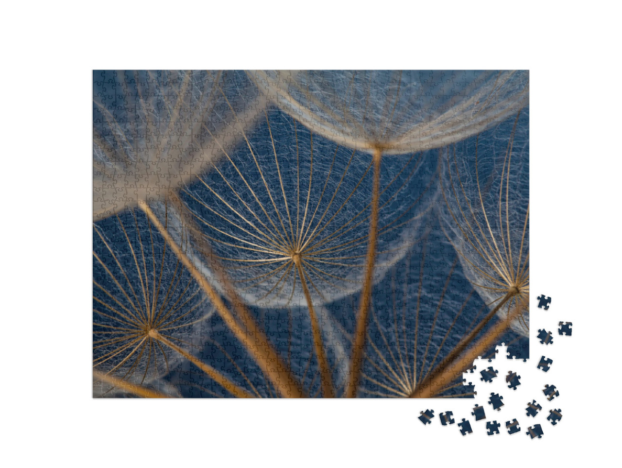 Puzzel 1000 stukjes „Macrobeeld: Elementen van een paardenbloem“
