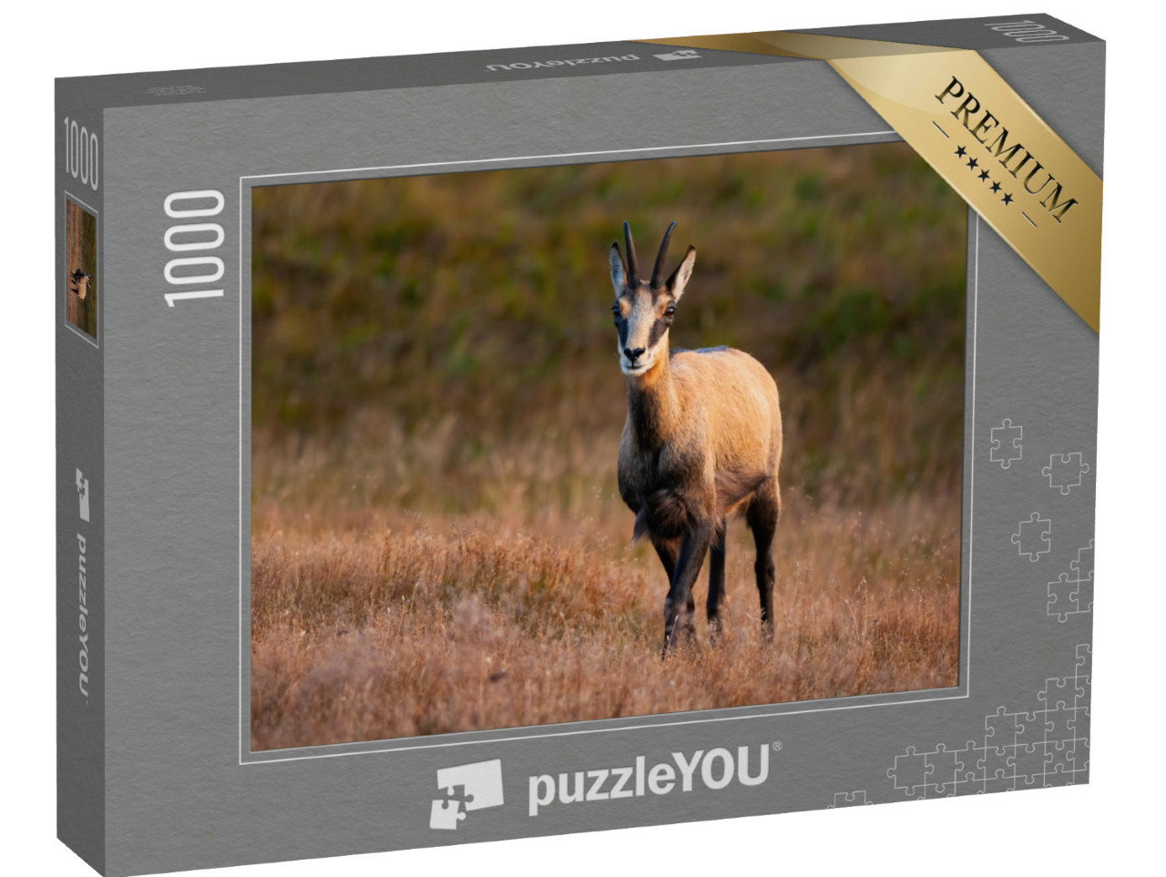 Puzzel 1000 stukjes „Tatra gemzen grazen in het herfst avondlicht“