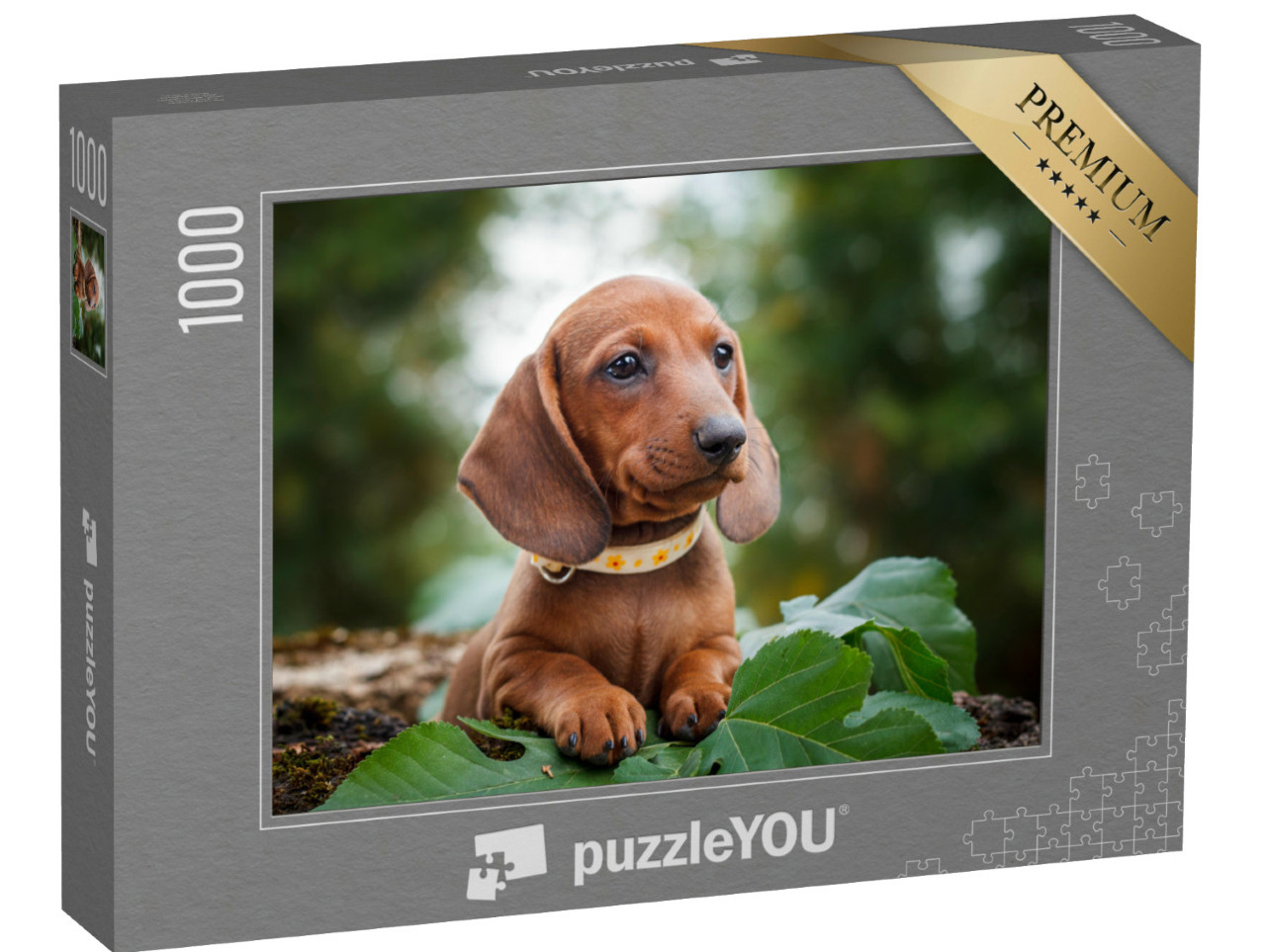 Puzzel 1000 stukjes „Schattige teckel puppy's“