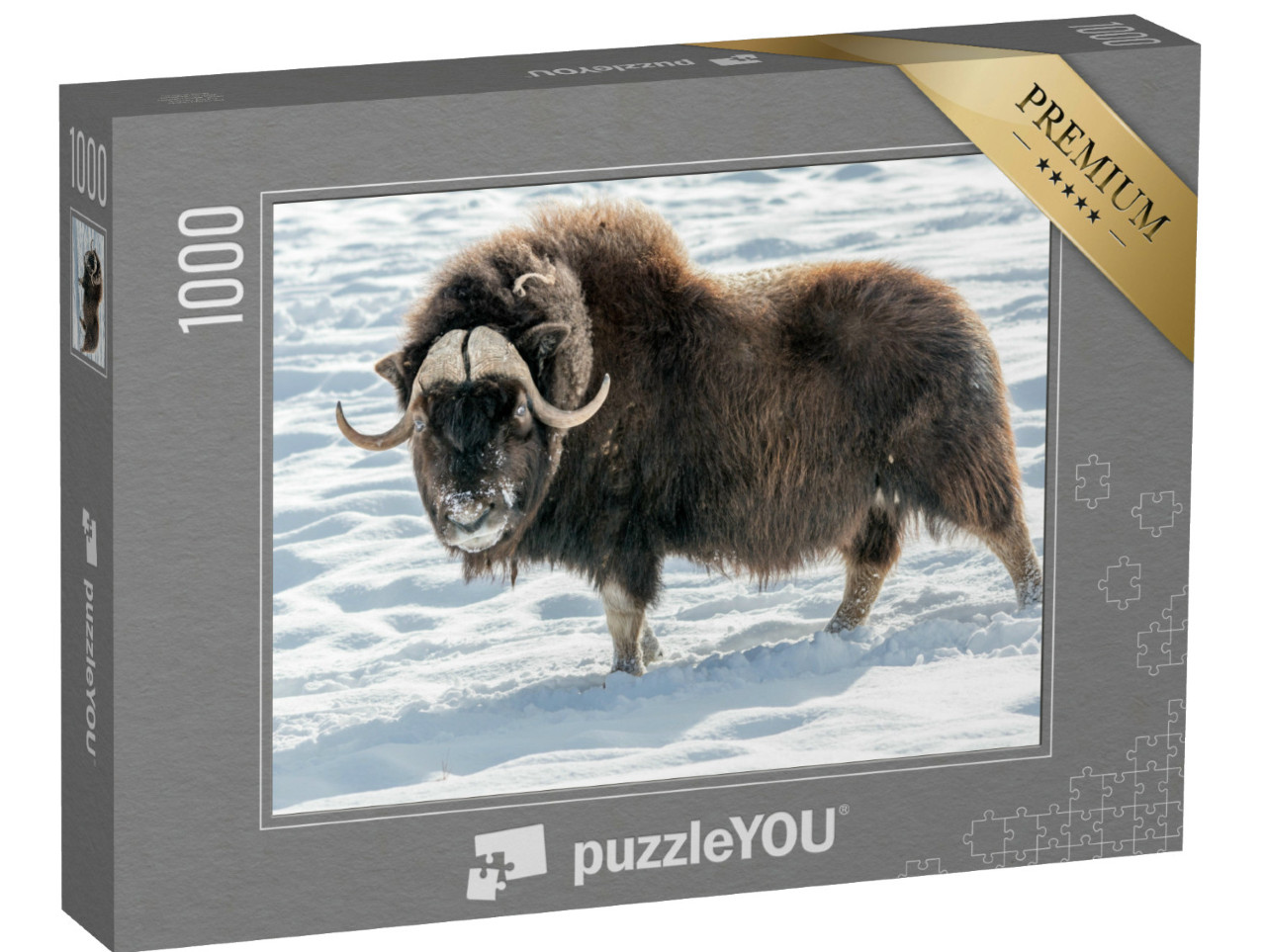 Puzzel 1000 stukjes „Muskusos in de sneeuw“