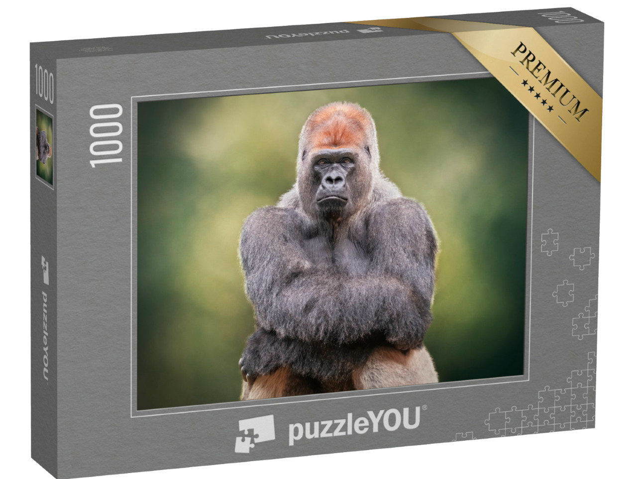 Puzzel 1000 stukjes „Portret van een zilverruggorilla die zijn handen kruist“