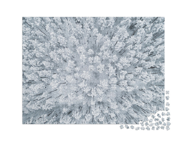 Puzzel 2000 stukjes „Winters, besneeuwd dennenbos“
