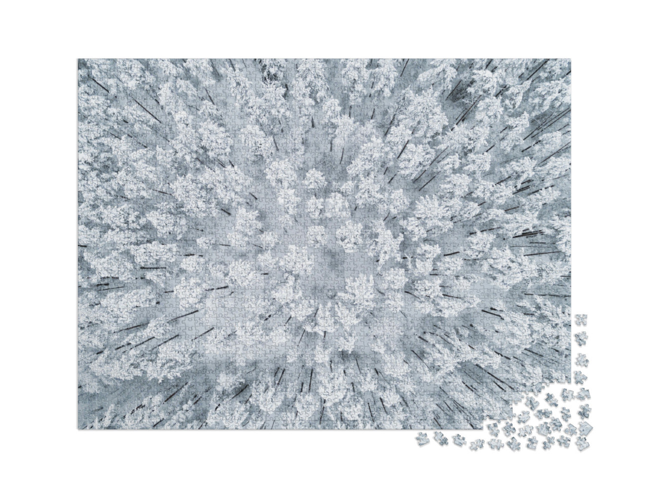 Puzzel 2000 stukjes „Winters, besneeuwd dennenbos“