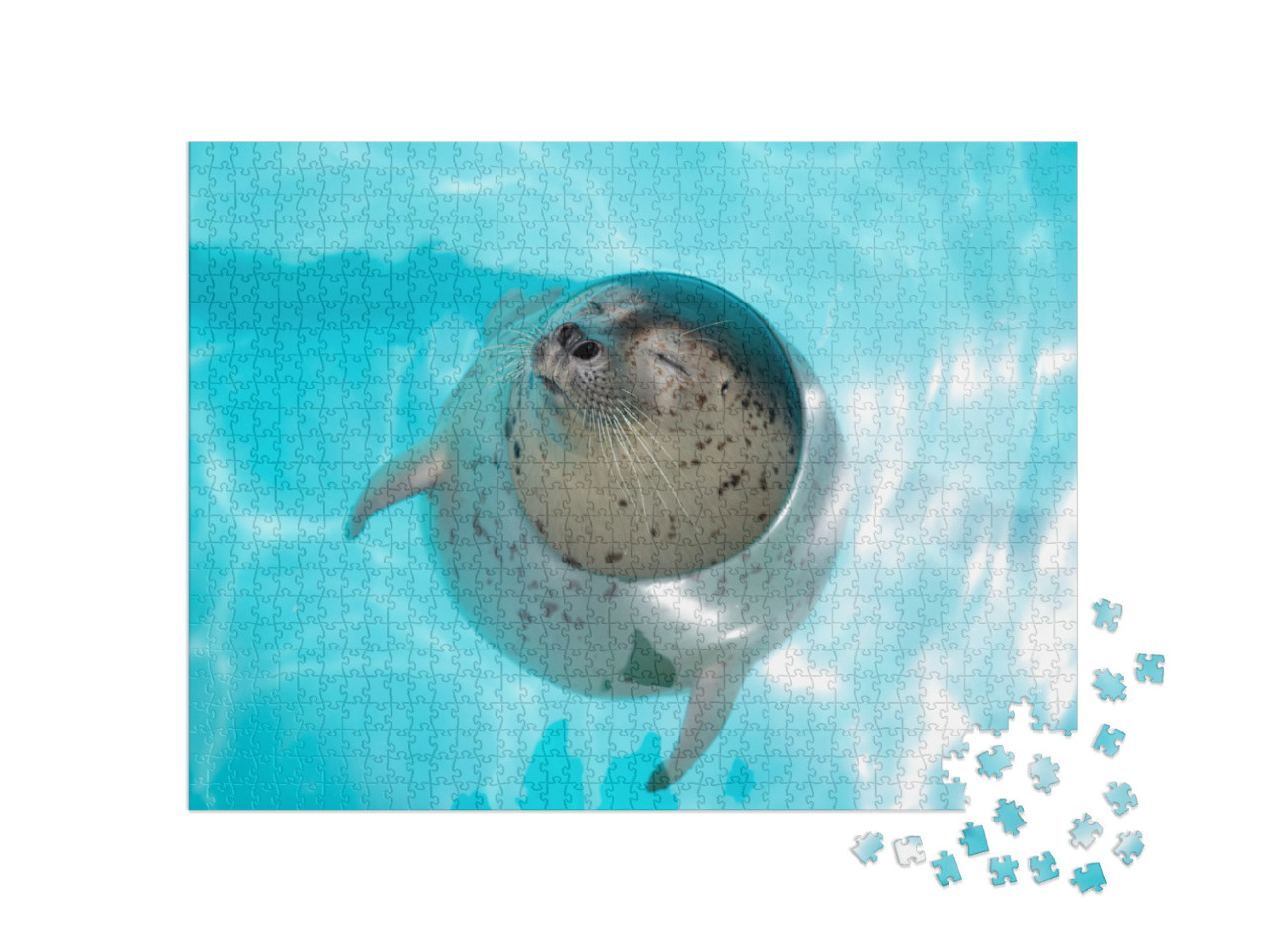 Puzzel 1000 stukjes „Babyzeehond, ontspannen in het water“