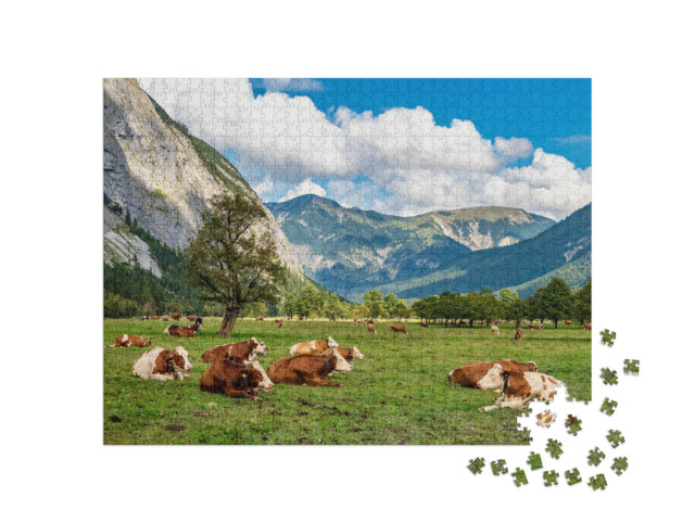 Puzzel 1000 stukjes „Koeienweide en esdoorns in Ahornboden, Karwendelgebergte, Tirol“