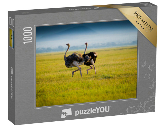 Puzzel 1000 stukjes „Twee Afrikaanse struisvogels in het gras“