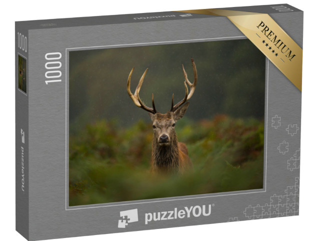Puzzel 1000 stukjes „Een jong edelhert“