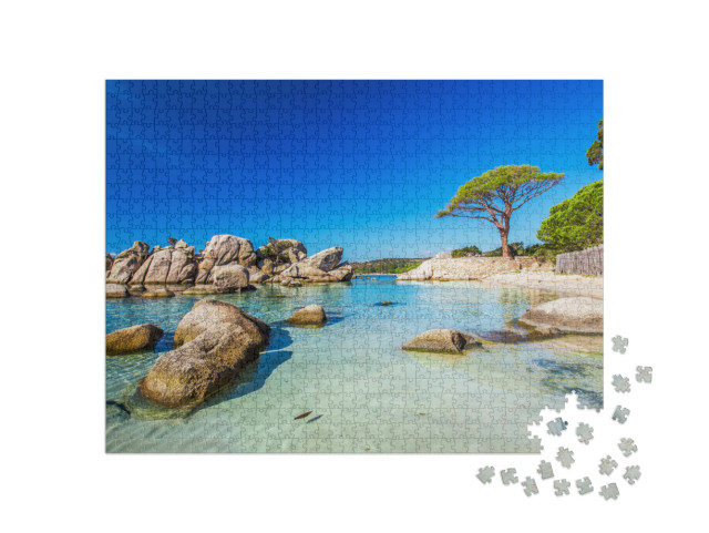 Puzzel 1000 stukjes „Pijnboom op het strand van Palombaggia in het zuiden van Corsica“