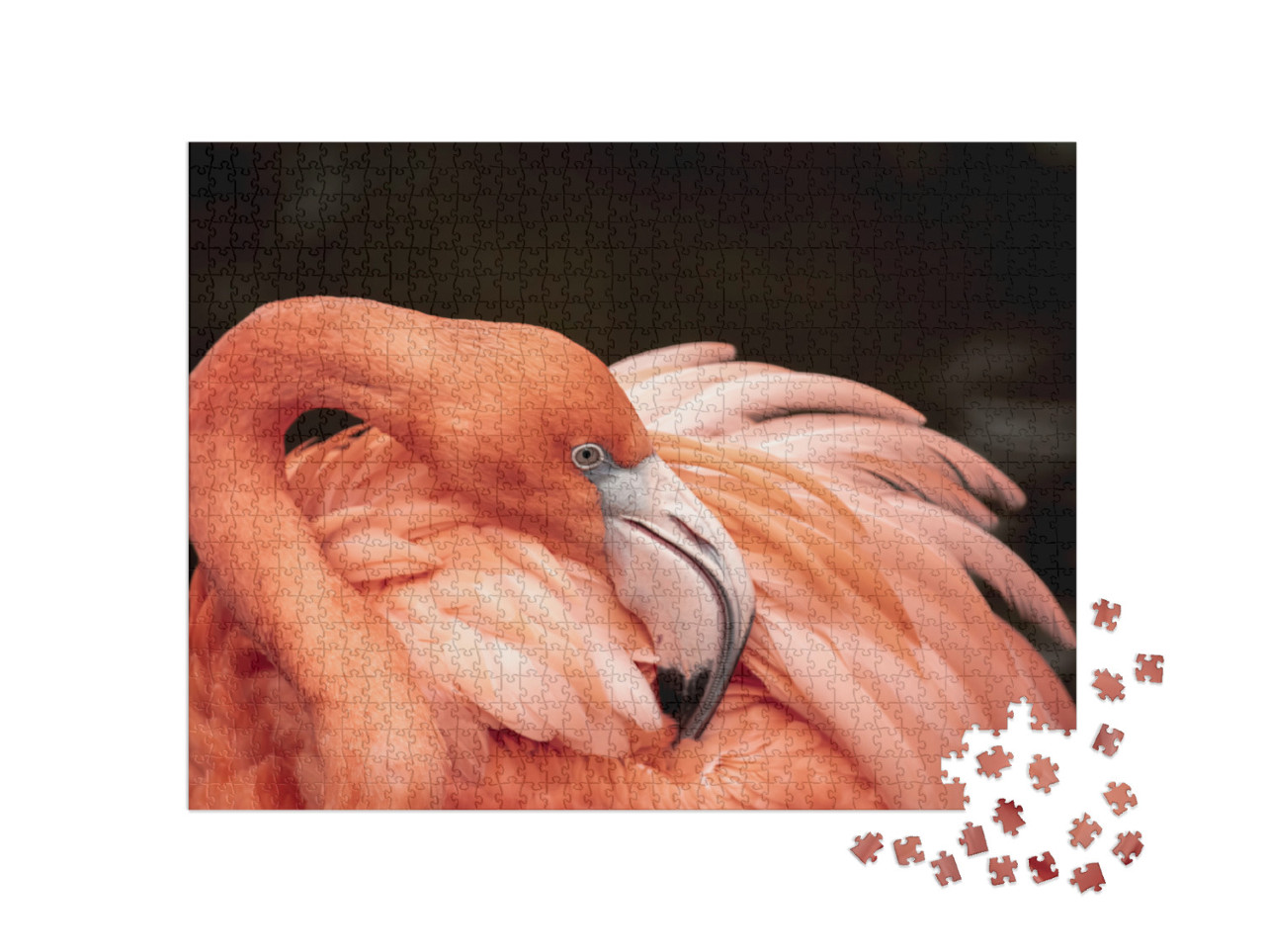Puzzel 1000 stukjes „Portret van een roze flamingo“