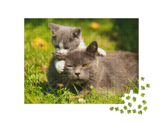 Puzzel 1000 stukjes „Moederpoes met haar kleine kitten in het gras“