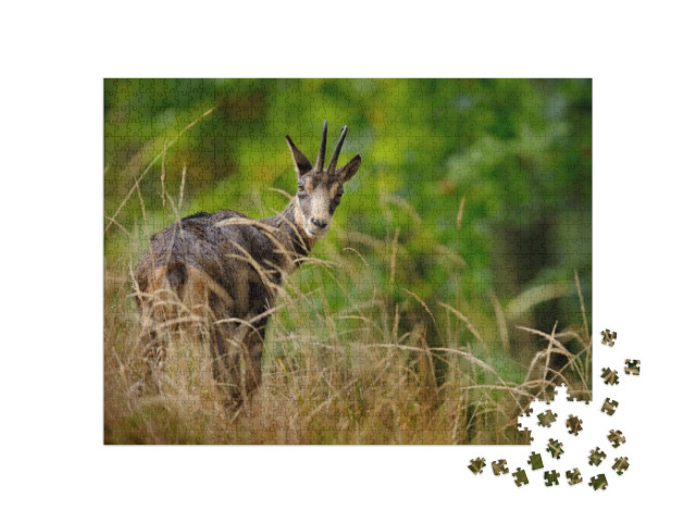 Puzzel 1000 stukjes „Gemzen in het landschap van de heuvels van Studenec, Tsjechië“