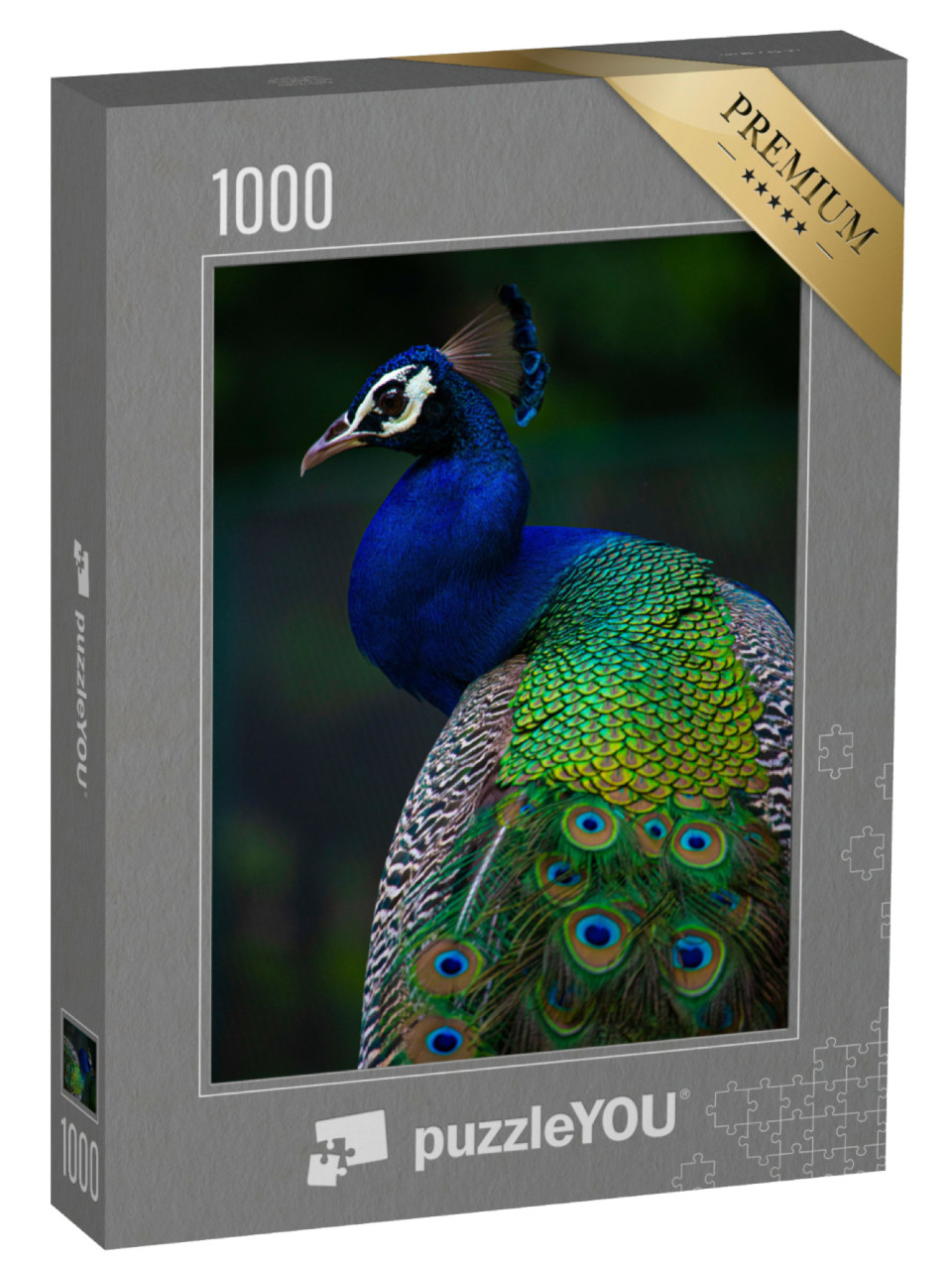 Puzzel 1000 stukjes „Indische pauw“