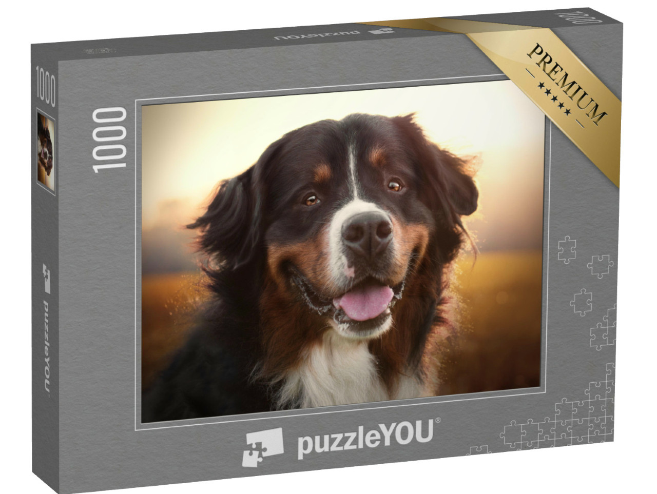 Puzzel 1000 stukjes „Portret van een Berner Sennenhond bij zonsondergang“