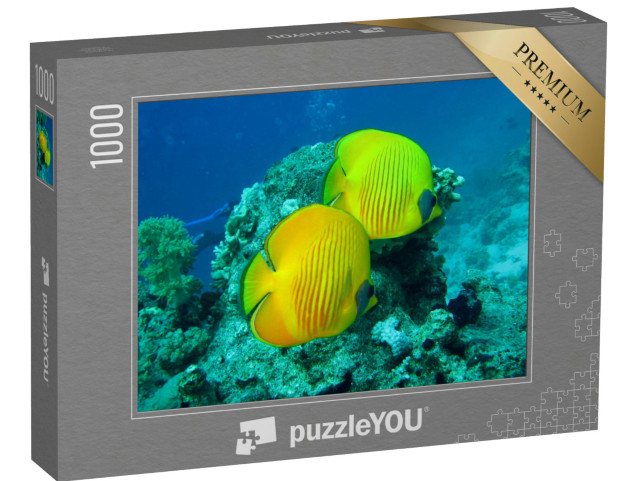 Puzzel 1000 stukjes „Koraalrif met vissen uit de Rode Zee in Egypte“