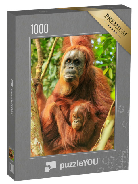 Puzzel 1000 stukjes „Vrouwelijke Sumatraanse orang-oetan met een baby, Indonesië“