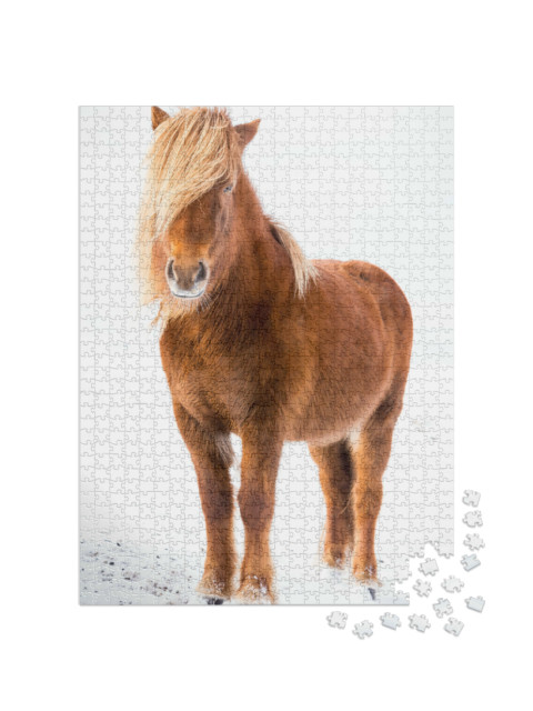 Puzzel 1000 stukjes „IJslands paard in de sneeuw“
