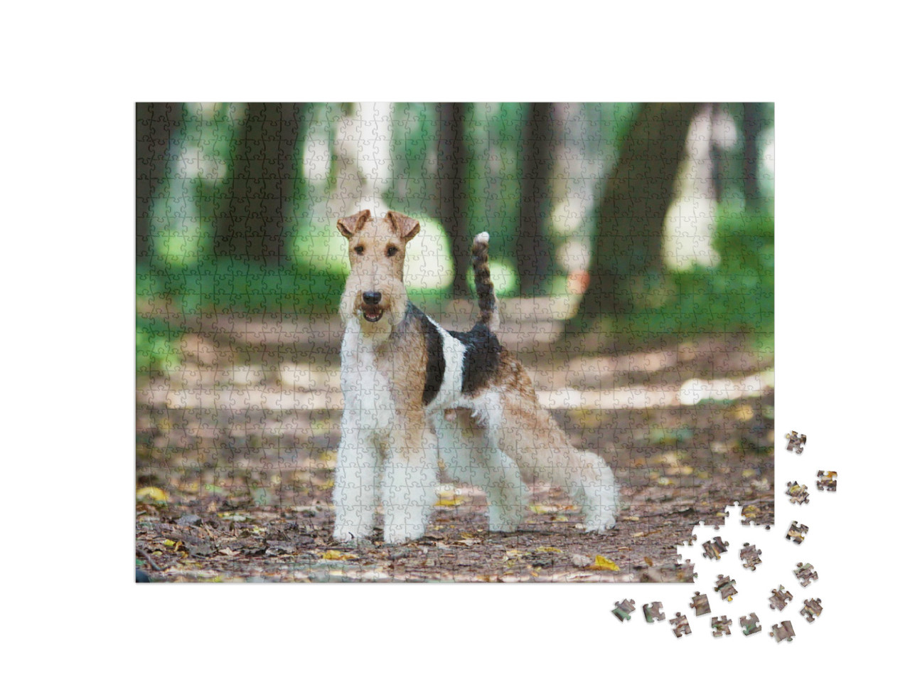 Puzzel 1000 stukjes „Fox terrier in het herfstpark“