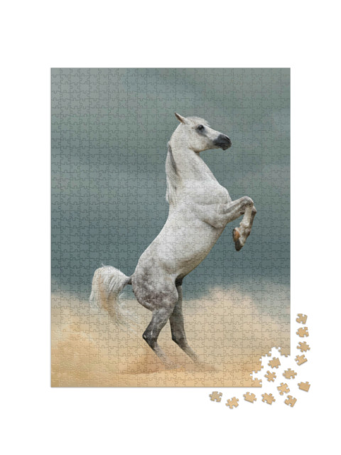 Puzzel 1000 stukjes „Een Arabische hengst op de prairie“