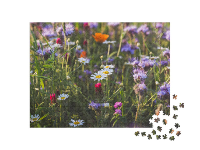 Puzzel 1000 stukjes „Kleurrijke bloeiende kruidenweide met paars bloeiende phacelia en goudsbloemen“